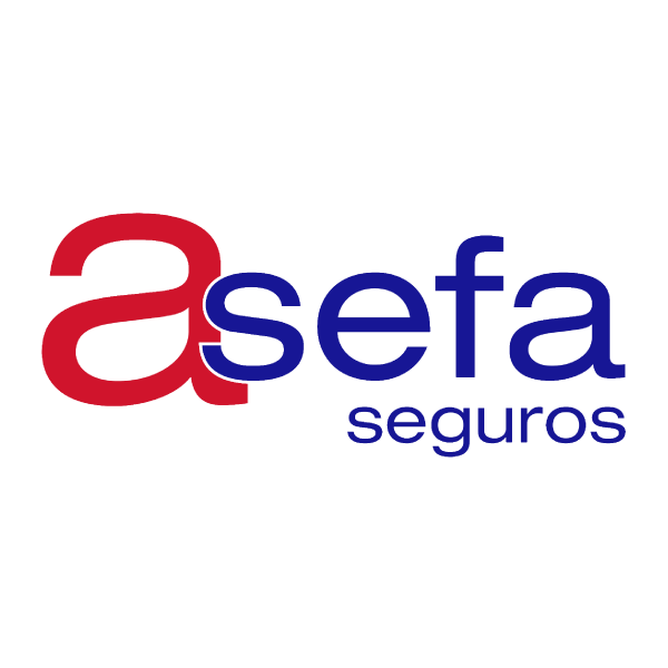 Logo ASEFA