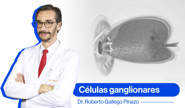 Roberto Gallego y células ganglionares