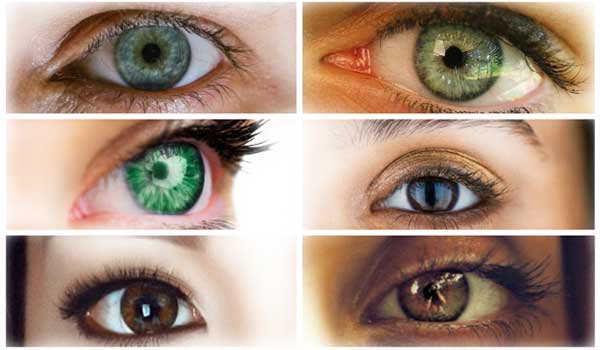 Diferentes tipos de ojos